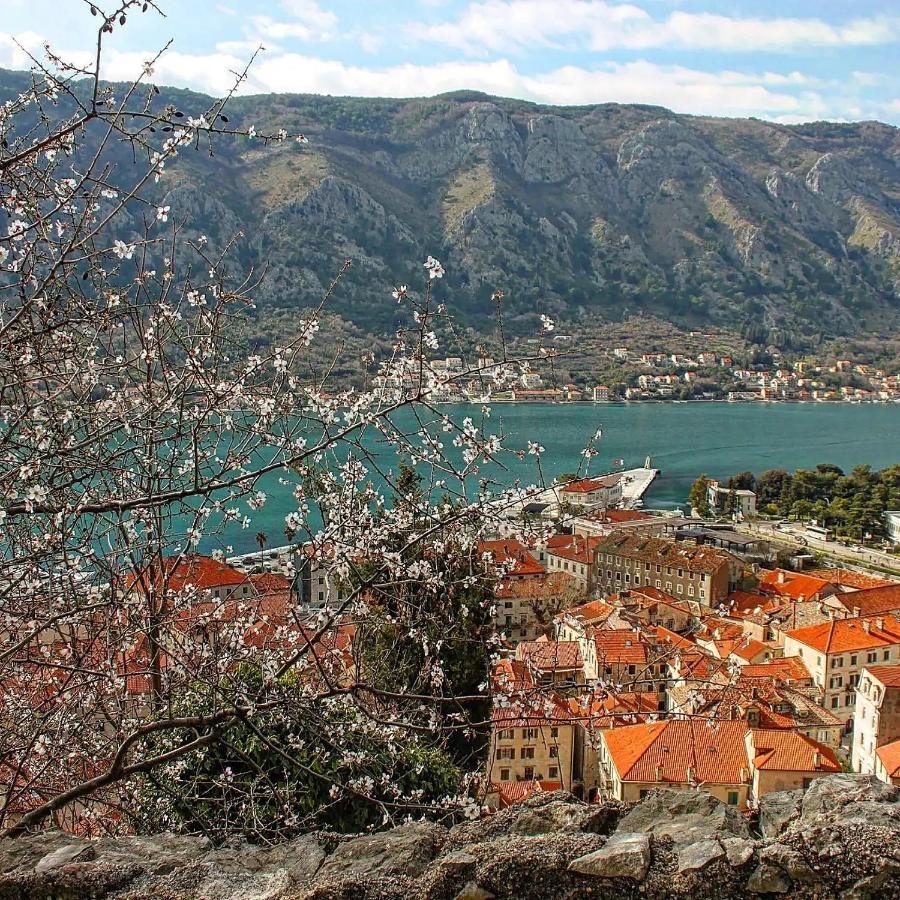 Old Town Boskovic Apartment Kotor Zewnętrze zdjęcie